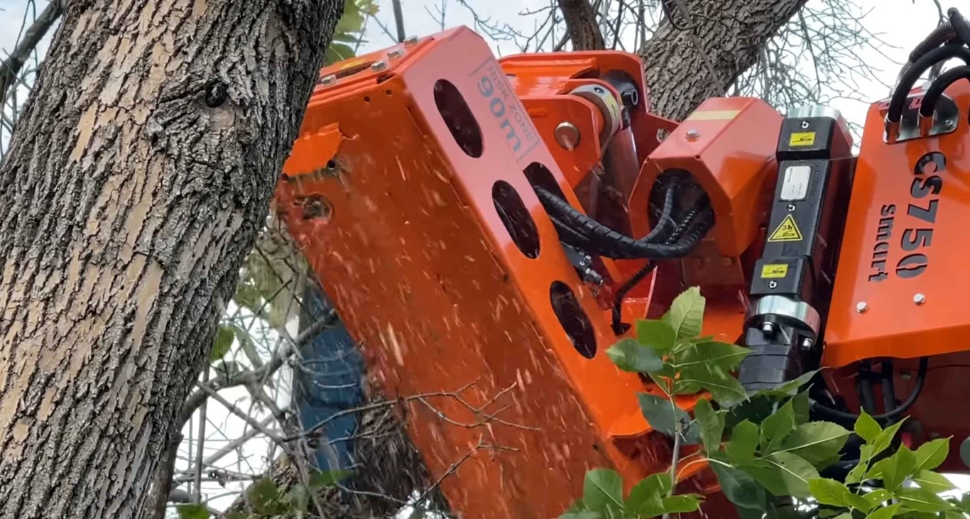 Professional tree service equipment in Bullhead, AZ
